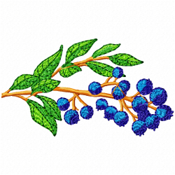 Berries Embroidery Design 7